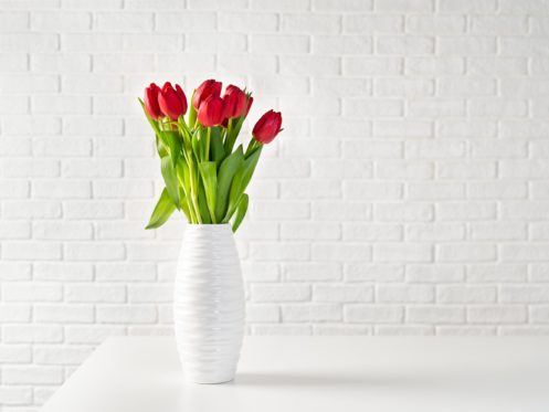 valentine-day-497×373